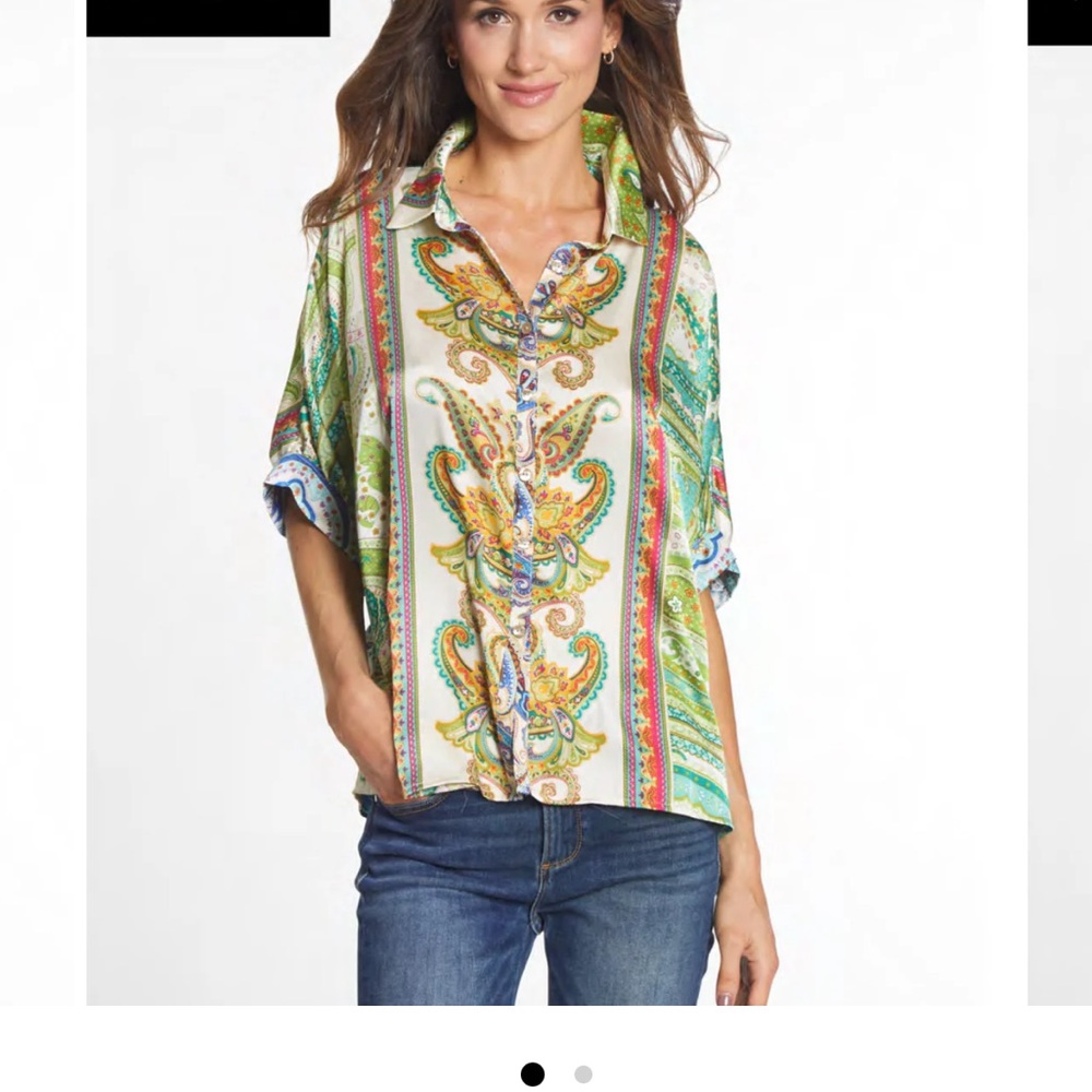 Paisley Print Blouse Button Down Boho Chic Generously Sized Large Green Blue
